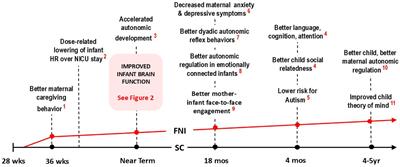 Six weeks that changed the preterm infant brain: lessons learned from the Family Nurture Intervention randomized controlled trials